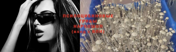spice Покачи