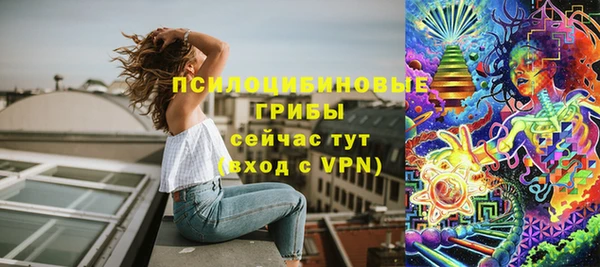 spice Покачи