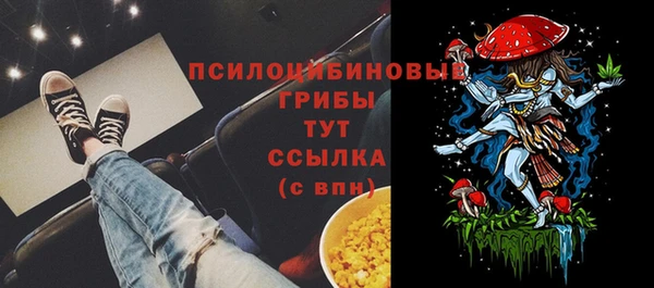 spice Покачи